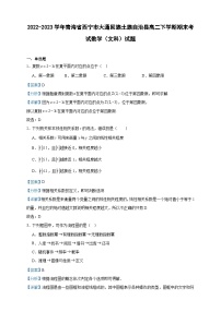 2022-2023学年青海省西宁市大通回族土族自治县高二下学期期末考试数学（文科）试题含答案