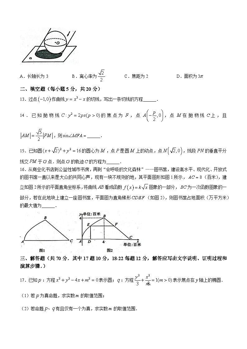 四川省巴中市恩阳区2022-2023学年高二下学期期中文科数学试题第3页