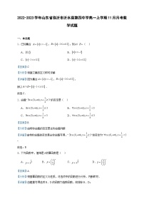 2022-2023学年山东省临沂市沂水县第四中学高一上学期11月月考数学试题含答案
