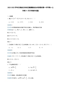 2022-2023学年云南省红河哈尼族彝族自治州弥勒市第一中学高一上学期11月月考数学试题含答案
