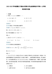 2022-2023学年新疆生产建设兵团第六师五家渠高级中学高一上学期期末数学试题含答案