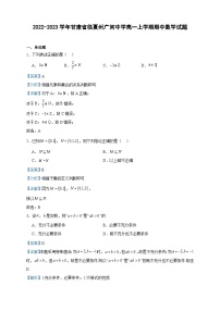 2022-2023学年甘肃省临夏州广河中学高一上学期期中数学试题含答案