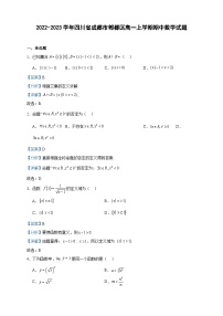 2022-2023学年四川省成都市郫都区高一上学期期中数学试题含答案