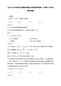 2022-2023学年四川省绵阳市南山中学实验学校高一下学期3月月考数学试题含答案