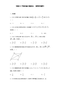备战2024年新高考数学专题训练专题03 平面向量小题综合（新高考通用）