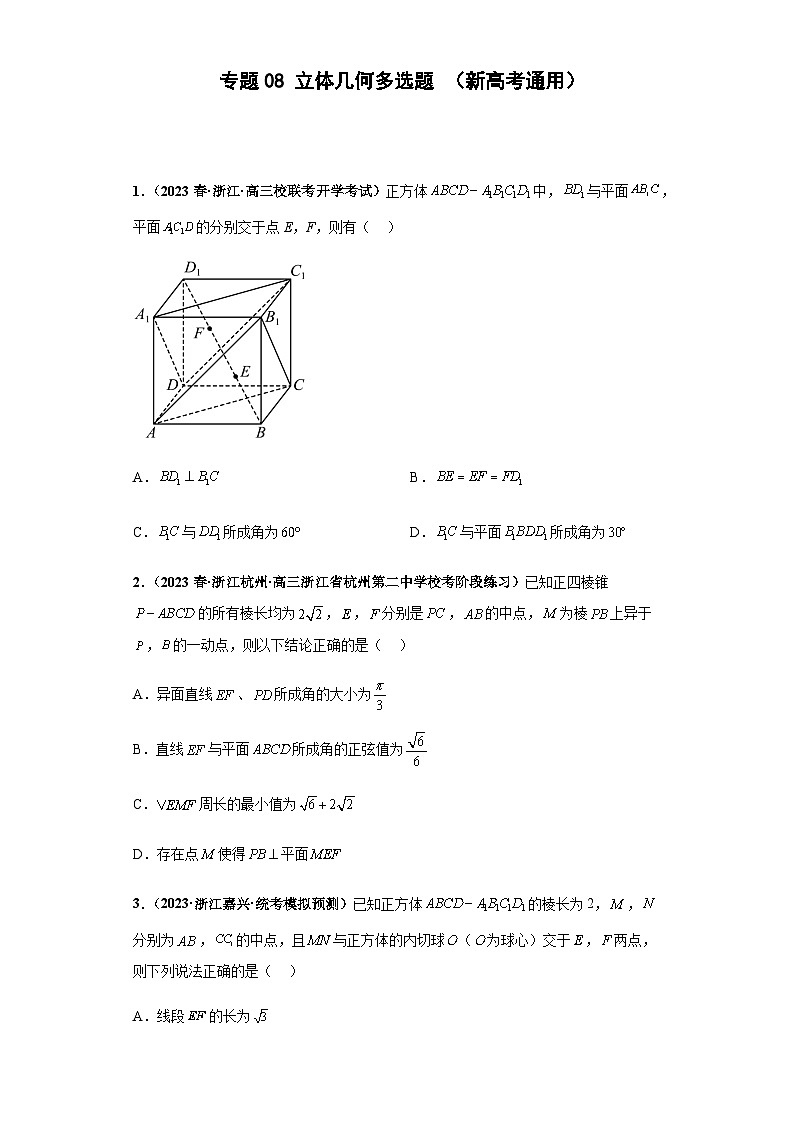  专题08 立体几何 多选题（新高考通用）原卷版第1页