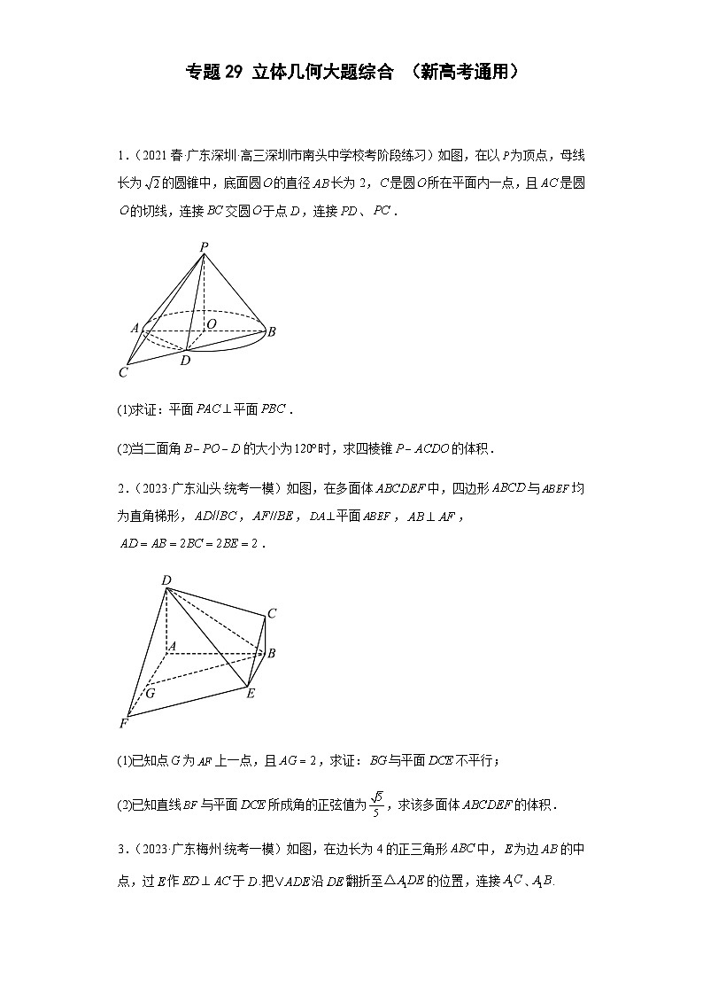 专题29 立体几何大题综合  （新高考通用）原卷版第1页