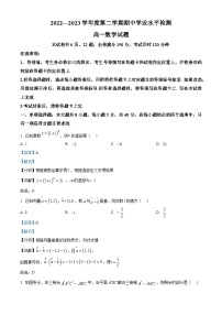 山东省青岛市西海岸新区2022-2023学年高一数学下学期期中试题（Word版附解析）