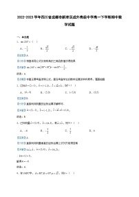 2022-2023学年四川省成都市新津区成外高级中学高一下学期期中数学试题含答案