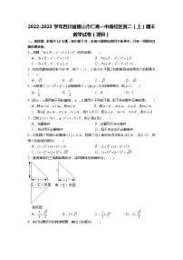 2022-2023学年四川省眉山市仁寿一中南校区高二（上）期末数学试卷（理科）