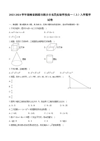 2023-2024学年湖南省湘潭市湘乡市名民实验学校高一（上）入学数学试卷（含解析）