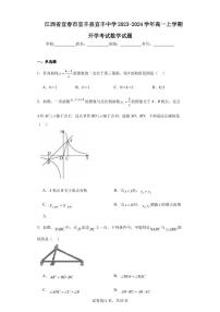 江西省宜春市宜丰县宜丰中学2023-2024学年高一上学期开学考试数学试题
