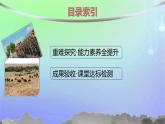 新教材2023_2024學(xué)年高中數(shù)學(xué)第1章預(yù)備知識2常用邏輯用語2.1必要條件與充分條件第2課時習(xí)題課充分條件與必要條件的綜合應(yīng)用課件北師大版必修第一冊