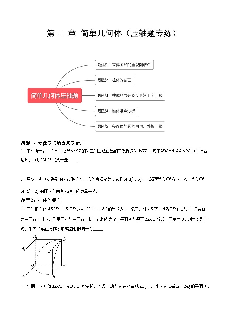 【期中复习提升】沪教版2020 2023-2024学年高二数学 必修3  第11章 简单几何体（压轴题专练）（原卷版）第1页