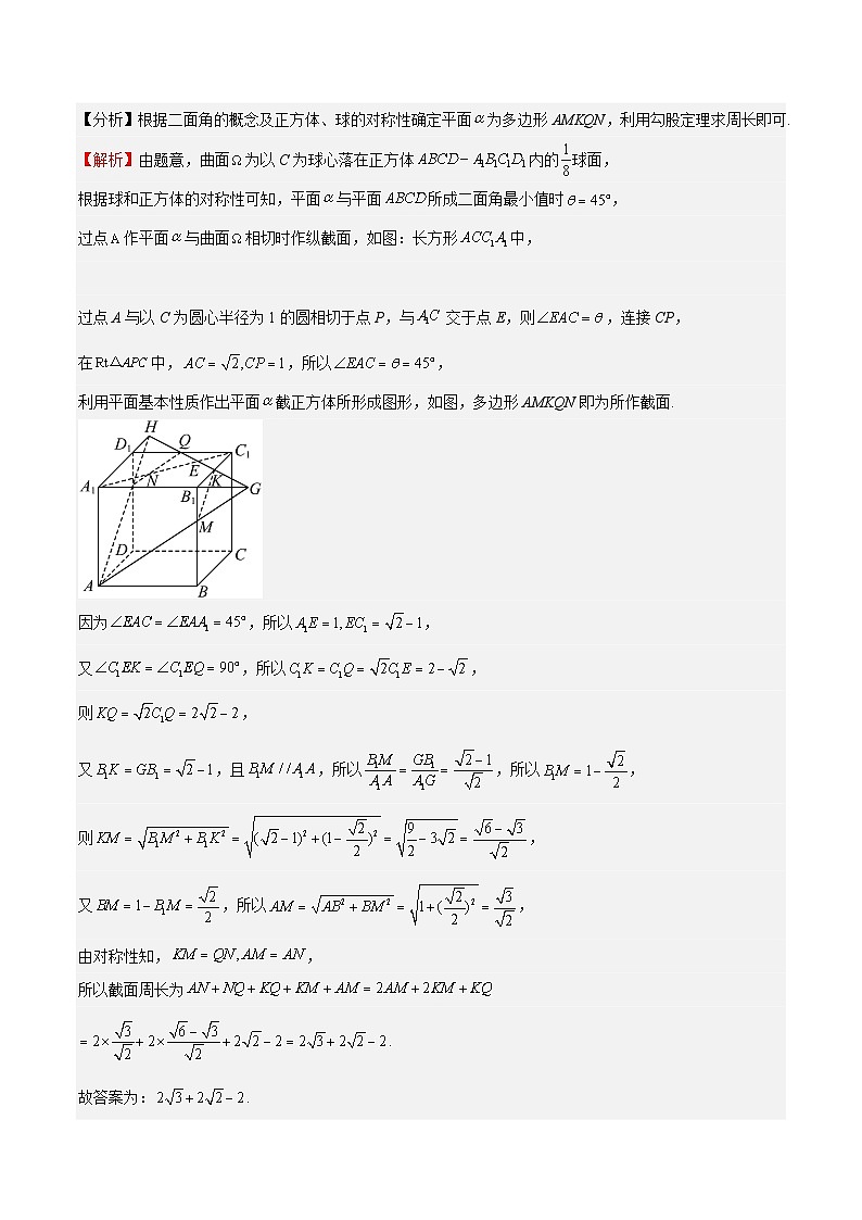 【期中复习提升】沪教版2020 2023-2024学年高二数学 必修3  第11章 简单几何体（压轴题专练）（解析版）第3页