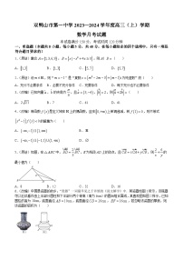 2024省双鸭山一中高三上学期10月月考试题数学含答案
