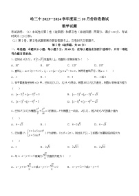 2024省哈尔滨师大附中高二上学期10月月考试题数学含答案