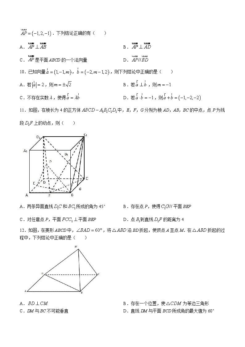2024辽宁省滨城高中联盟高二上学期10月月考试题数学含答案第3页