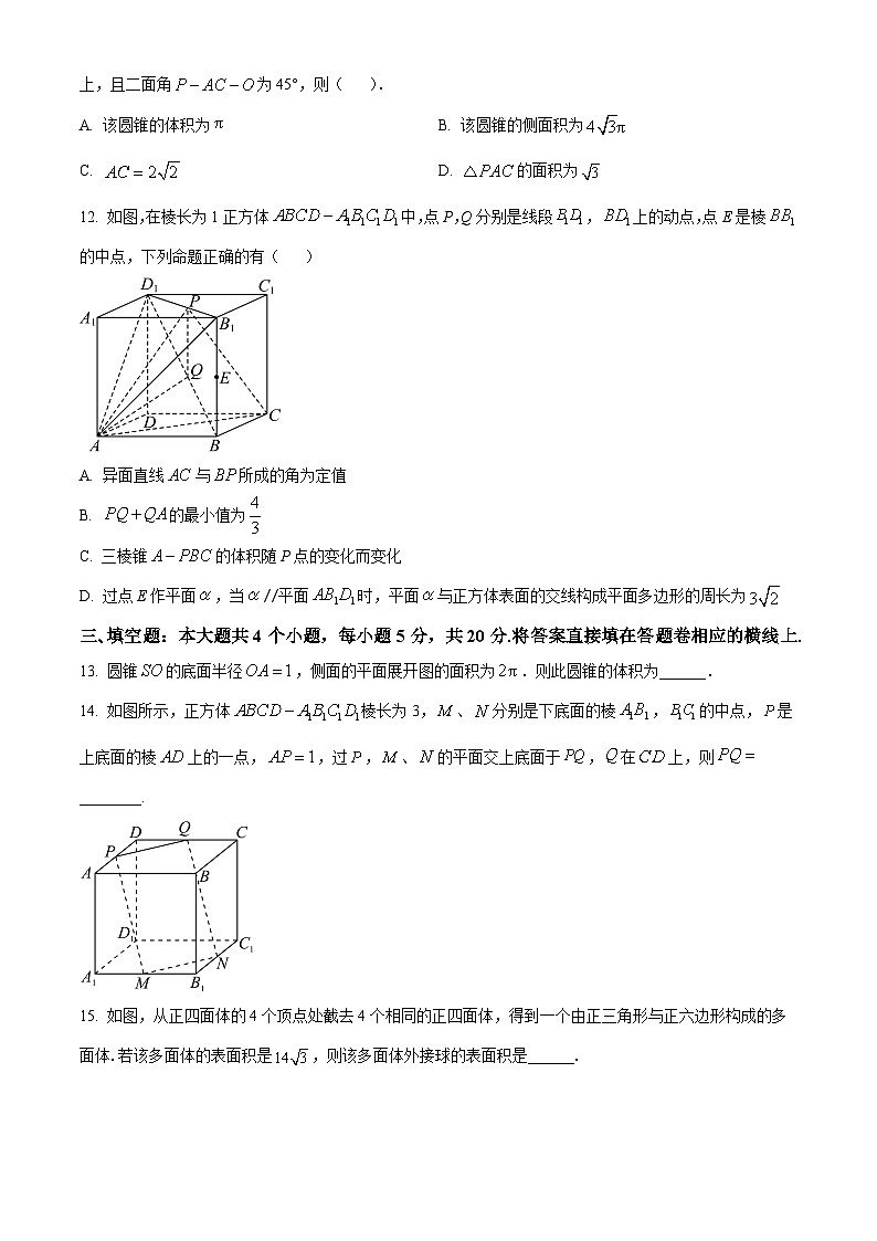 2024内江威远中学高二上学期第一次月考数学试题含解析03