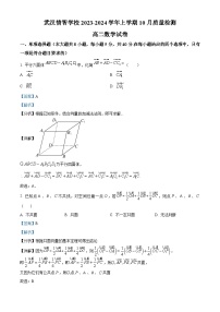 湖北省武汉情智学校2023-2024学年高二数学上学期10月质量检测试题（Word版附解析）