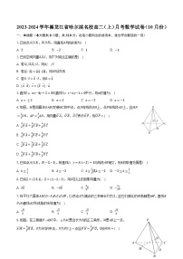 2023-2024学年黑龙江省哈尔滨名校高二（上）月考数学试卷（10月份）（含解析）