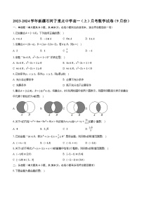 2023-2024学年新疆石河子重点中学高一（上）月考数学试卷（9月份）（含解析）