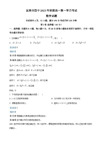四川省宜宾市第四中学2023-2024学年高一数学上学期10月月考试题（Word版附解析）