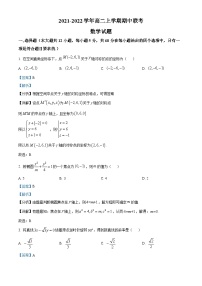 安徽省十校联盟2021-2022学年高二数学上学期期中联考试题（Word版附解析）