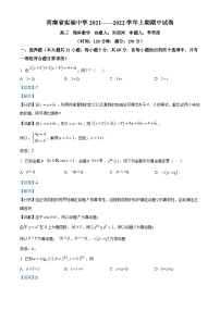 2022河南省实验中学高三上学期期中考试数学（理）试题含解析