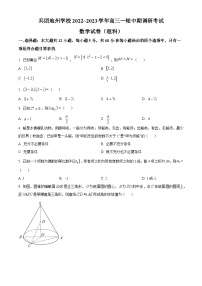 【期中真题】新疆生产建设兵团地州学校2023届高三上学期一轮期中调研考试数学（理）试题.zip