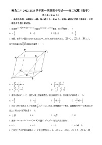 【期中真题】山东省青岛市青岛第二中学2022-2023学年高二上学期期中数学试题.zip