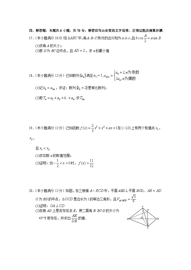 广东省汕头市金山中学2023-2024学年高三上学期阶段性考试数学试题第3页
