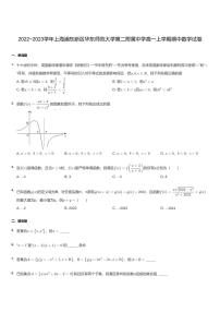 2022~2023学年上海浦东新区华东师范大学第二附属中学高一上学期期中数学试卷