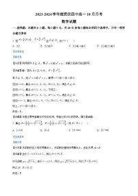 湖北省武汉市第四中学2023-2024学年高一数学上学期10月月考试题（Word版附解析）