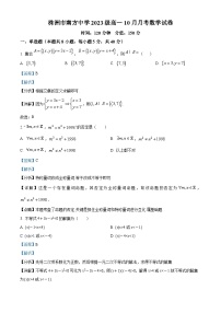 湖南省株洲市南方中学2023-2024学年高一数学上学期10月月考试题（Word版附解析）