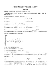 湖北省武汉市武昌实验中学2023-2024学年高三数学上学期10月月考试题（Word版附答案）