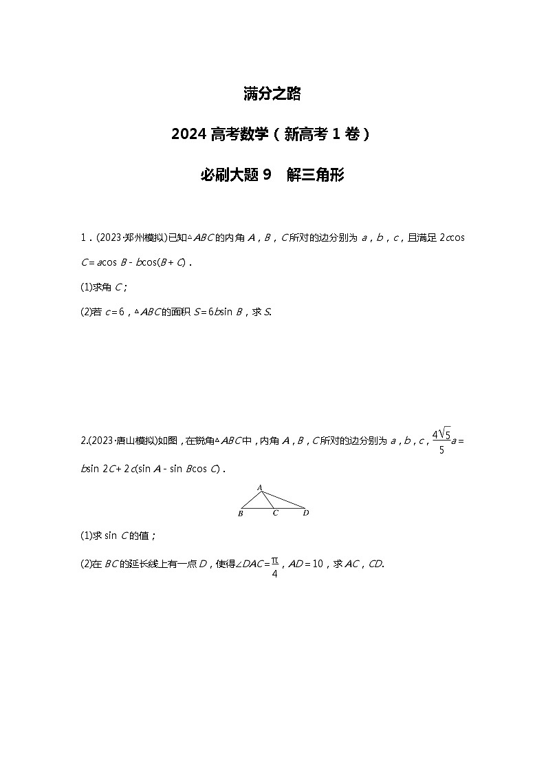 满分之路（备战2024高考）高考数学二轮复习之必刷大题9　解三角形（原卷版）第1页