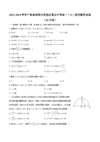 2023-2024学年广东省深圳市龙岗区重点中学高一（上）段考数学试卷（10月份）（含解析）