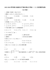2023-2024学年浙江省嘉兴市平湖市重点中学高一（上）段考数学试卷（10月份）（含解析）