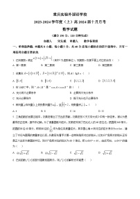 重庆实验外国语学校2024届高三上学期10月月考数学试题