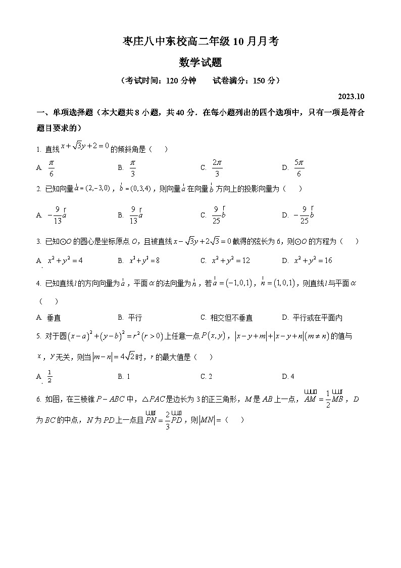 2024枣庄八中高二上学期10月月考试题数学含解析第1页