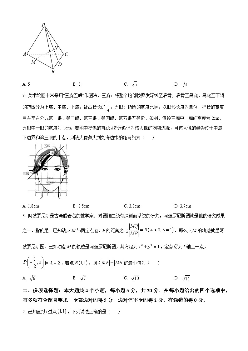 2024枣庄八中高二上学期10月月考试题数学含解析第2页