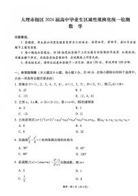 云南省大理市2024届高中毕业生统一检测 数学试卷（含答案）