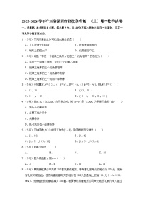 2023-2024学年广东省深圳市名校联考高一（上）期中数学试卷