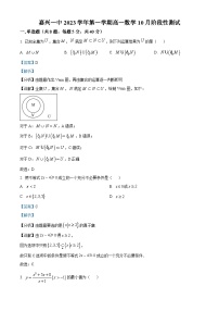 浙江省嘉兴市第一中学2023-2024学年高一数学上学期10月月考试题（Word版附解析）