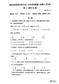 广东省惠州市华罗庚中学2023-2024学年高二上学期11月月考数学试题