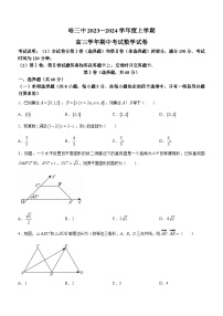 黑龙江省哈尔滨市第三中学校2023-2024学年高三上学期期中数学试题(无答案)