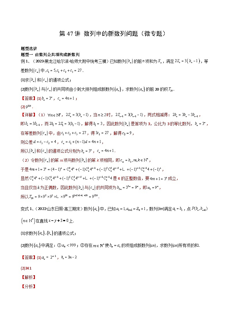 2024年高考数学第一轮复习精品导学案第47讲 数列中的新数列问题（学生版）+教师版01