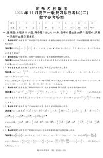 湘豫名校联考2023-2024学年高三11月一轮复习诊断检测（二）数学试题及参考答案