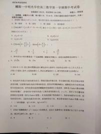 广东省汕头市潮阳一中明光学校2023-2024学年高三上学期11月期中考试数学试题